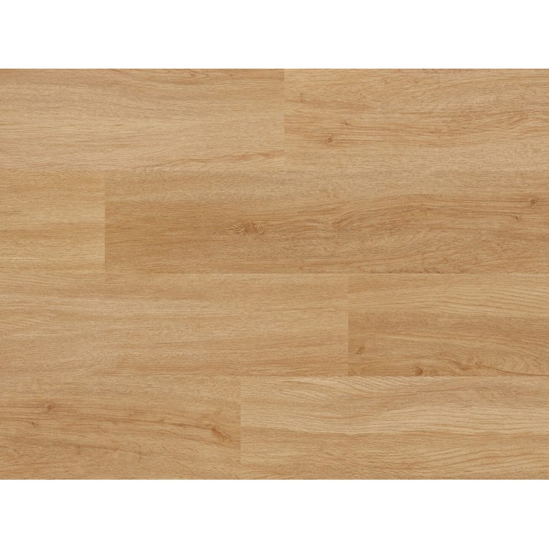 Afirmax BiClick Calvia Oak 180x1220 CBC41632 klikkes vinyl padló