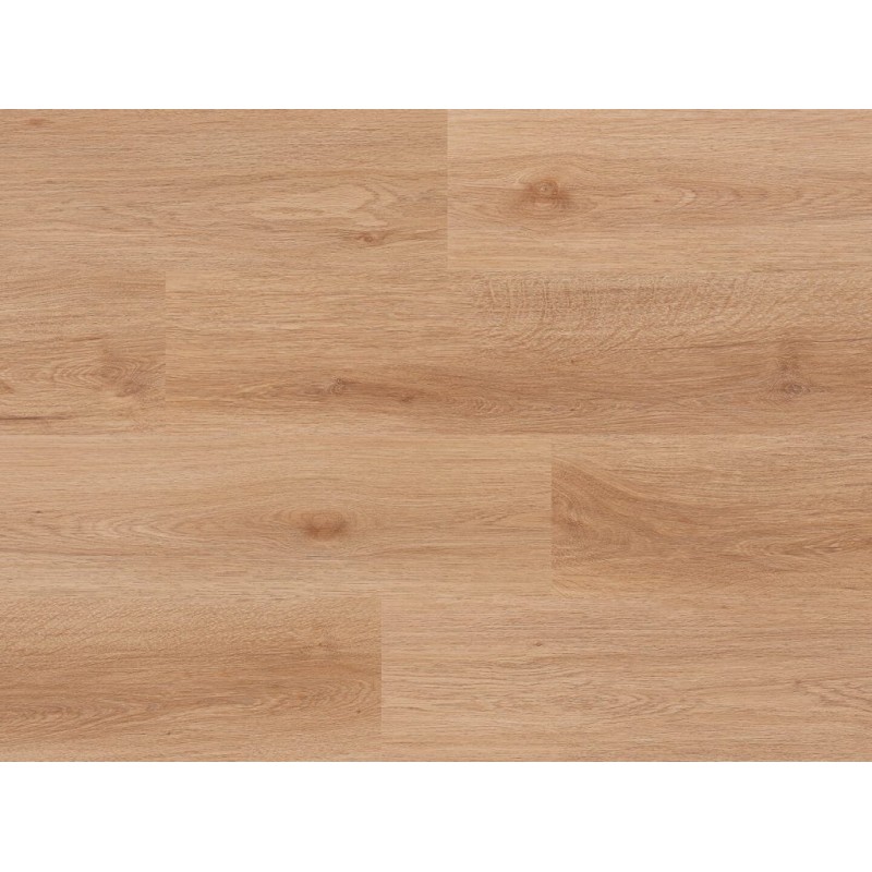 Afirmax BiClick Goldberg Oak 180x1220 CBC41612 klikkes vinyl padló