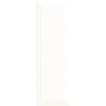 Paradyz Ceramika Tamoe Kafel Bianco 9,8x29,8 csempe