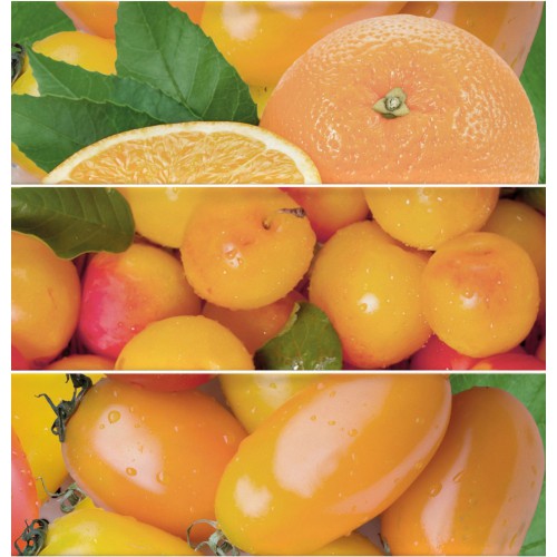 Cifre Ceramica Composicion Citrus Naranja 30x30 dekor csempe szett (3 db)