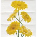 Cifre Ceramica Composicion Margarita Limon 30x30 dekor csempe szett (3 db)